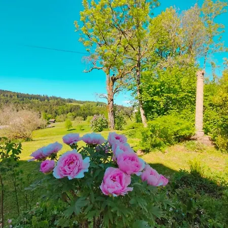 Holiday home Le Repaire De La Chouette Girmont-Val-d'Ajol